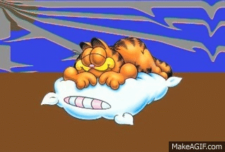 Garfield Sleeping.mov on Make a GIF