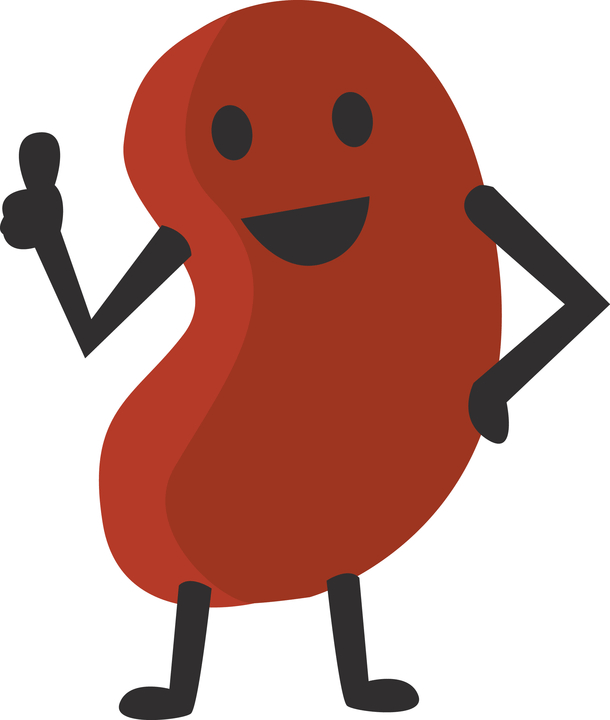 Dancing kidney bean