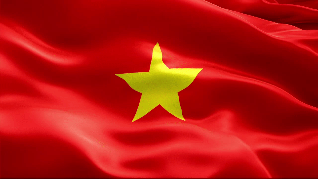 Cờ Tổ Quốc tung bay