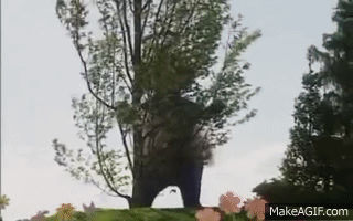 Tinky Winky Gets Shot On Make A GIF Tinky Winky Gets Shot On Make A GIF