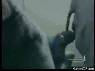 BU4ePU.gif