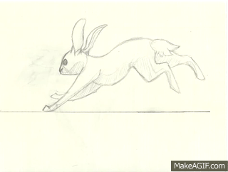 Bunny Run Cycle (first traditional animation!) on Make a GIF