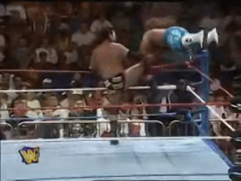 Shawn Michaels vs Razor Ramon Summerslam 1995 Highlights on Make a GIF