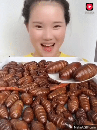Chinese Girl Eating Bugs on Make a GIF