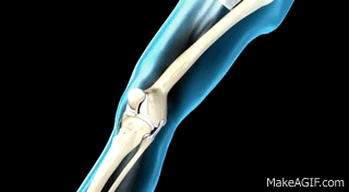Knee Joint Range Of Movement 3d Medical Animation Abp C On Make A Gif