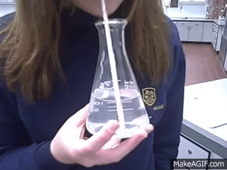 CO2 and Limewater.wmv on Make a GIF