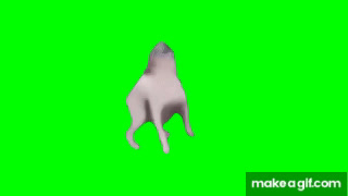 Efecto pantalla verde perro bailando on Make a GIF
