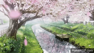 cherry blossom - GIF - Imgur