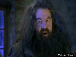 Lesbische gifs en Videos