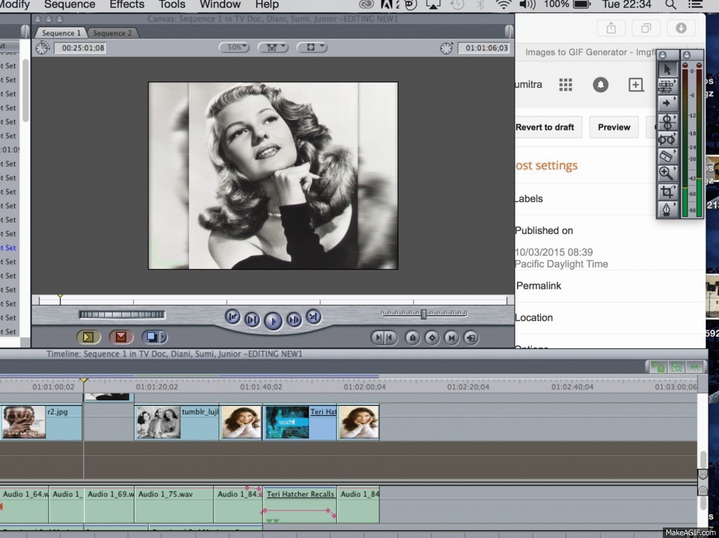 Gaussian Blur Edit on Make a GIF