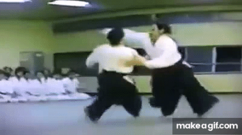 steven seagal young aikido