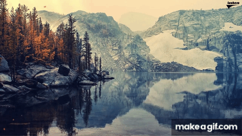 animated gif nature wallpapers