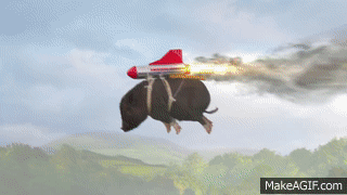 flying pigs gif