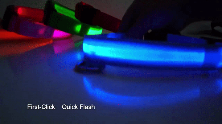 Glowing LED Nylon Dog on Make a GIF