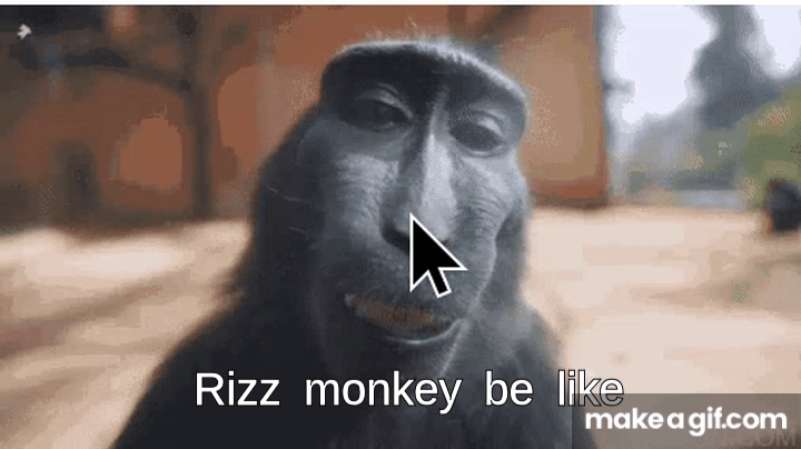 Rizz Monkey Rizz monkey on Make a GIF