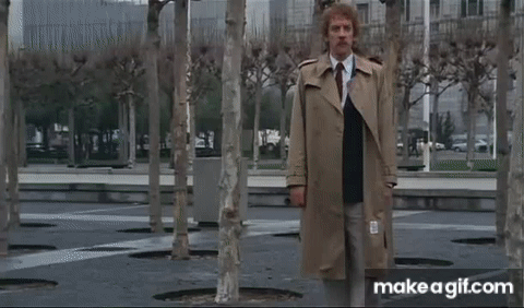 SCREAM!! (Invasion of the Body Snatchers - Donald Sutherland) on Make a GIF