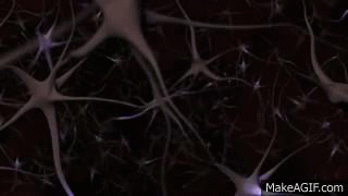 synapse gif