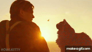 Titanic with a Cat on Make a GIF