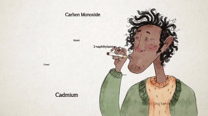 How do cigarettes affect the body? - Krishna Sudhir on Make a GIF