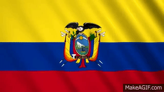 Resultado de imagen para gif de la bandera del ecuador