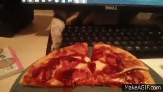 Кот ворует пиццу on Make a GIF