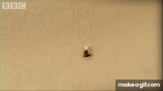 rolling spider gif