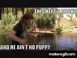 xDjIq-.gif
