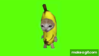 Banana Cat Running | Green Screen on Make a GIF