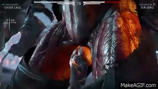 Mortal Kombat X - Cassie Cage nut punch X-ray on Make a GIF