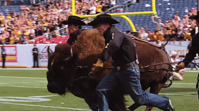Running with Ralphie on Make a GIF