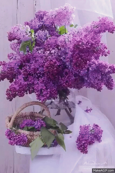 lilac beauty on Make a GIF