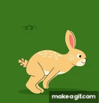 rabbit jumping on Make a GIF