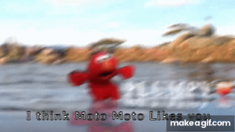 moto moto Memes & GIFs - Imgflip