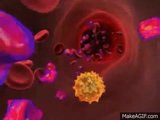 Hepatitis C Infection - 3D Medical Animation on Make a GIF