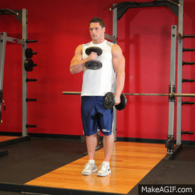 Db Hammer Curl Gif