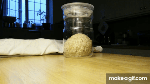 The Secret life of my Sourdough starter... on Make a GIF