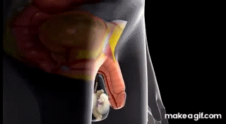 Rebekka Kanningem porno rasmlar