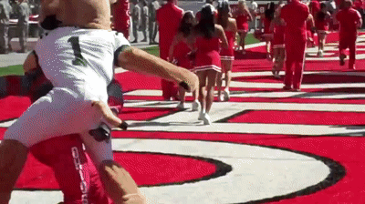 Ohio State University's Brutus the Buckeye gets tackled by Rufus! on Make a  GIF