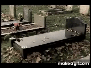 Stmkg_.gif