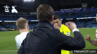 Manchester City vs Tottenham Hotspur (1-2) 2015/16 - Celebrations
