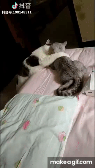 I love you, darling ❤️ on Make a GIF
