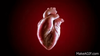 Featured image of post Heart Images Hd 3D Gif : Free download hd quality lots to choose from.