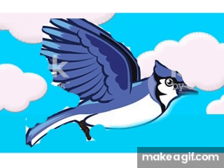 cartoon bird flying gif