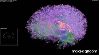 Artificial Brain Simulation - Thalamocortical System, 8 Million