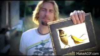 tQXzDn.gif