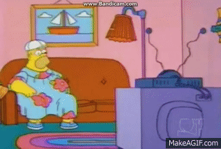 Homer s Typing Bird On Make A GIF