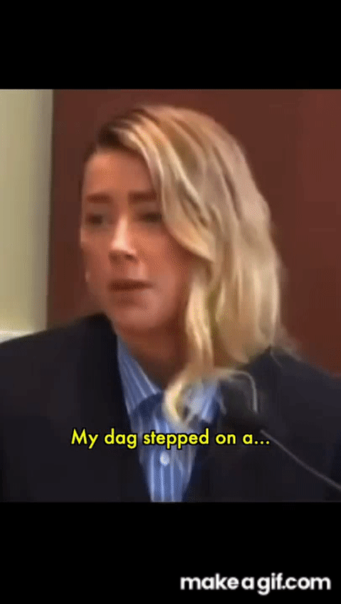 amber heard's dog stepped on a bee, My Dog Stepped On A Bee