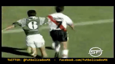 -v08cm.gif
