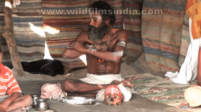 Watch it to believe It!! The terrifying Aghori sadhus on Make a GIF