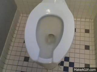 Image result for toilet flushing gifs